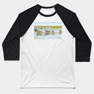 Zebras Crossing The Swamp Baseball T-Shirt